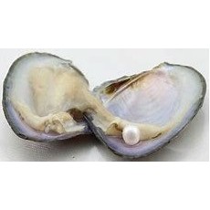 Freshwater (+$10.80)